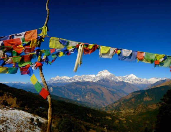 Ghorepani Poon Hill Trek